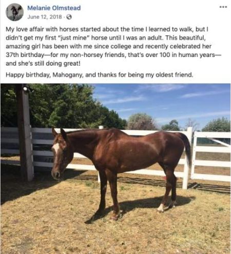 Animal Lover: Melanie Olmstead shared post on her horse Mahogany birthday.